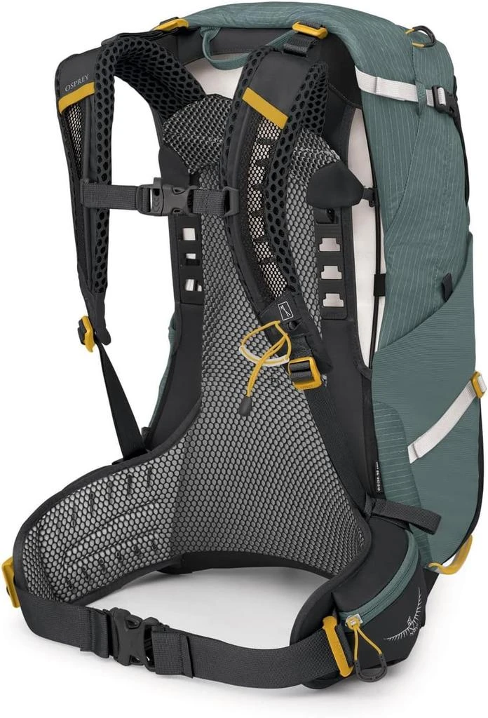 Osprey Osprey Sirrus 24L Women
s Hiking Backpack, Succulent Green 6