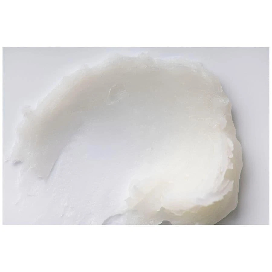 Burt's Bees Vanilla Bean & Wild Cherry Flavored Moisturizing Lip Balm Multi-Pack Wild Cherry and Vanilla Bean 9