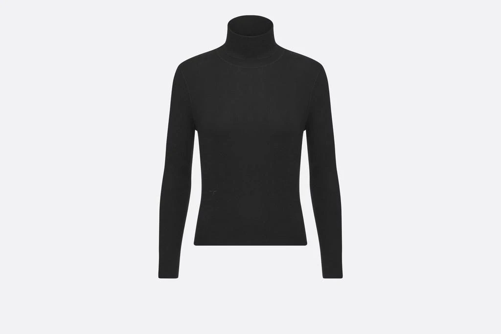 Dior Dior Turtleneck Clothing 1