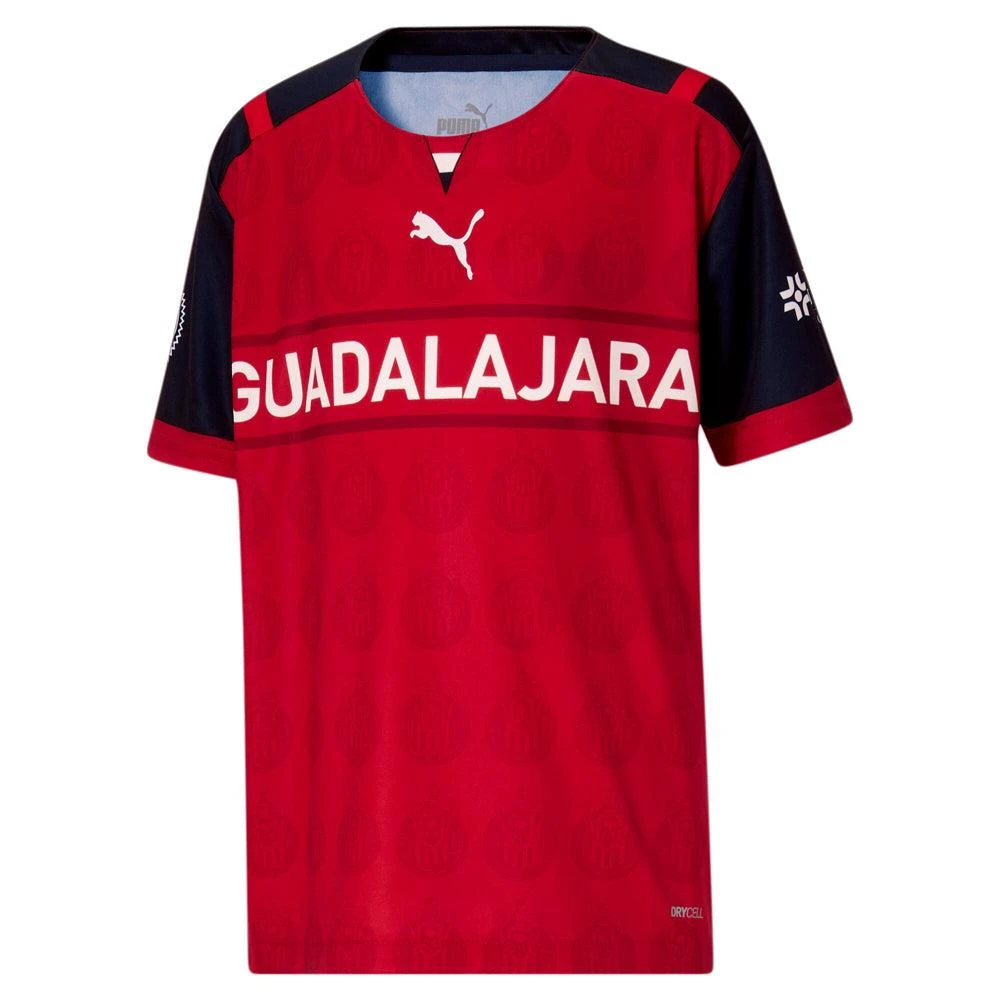 Puma CDG 21/22 Alternative Replica Crew Neck Short Sleeve Soccer Jersey (Youth) 1