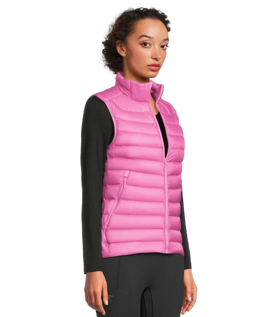 Arc'teryx Cerium Vest 2
