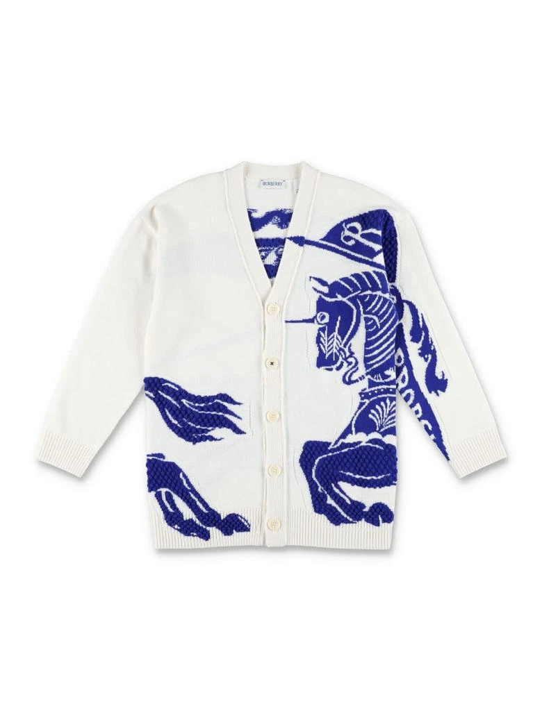 Burberry Kid 1