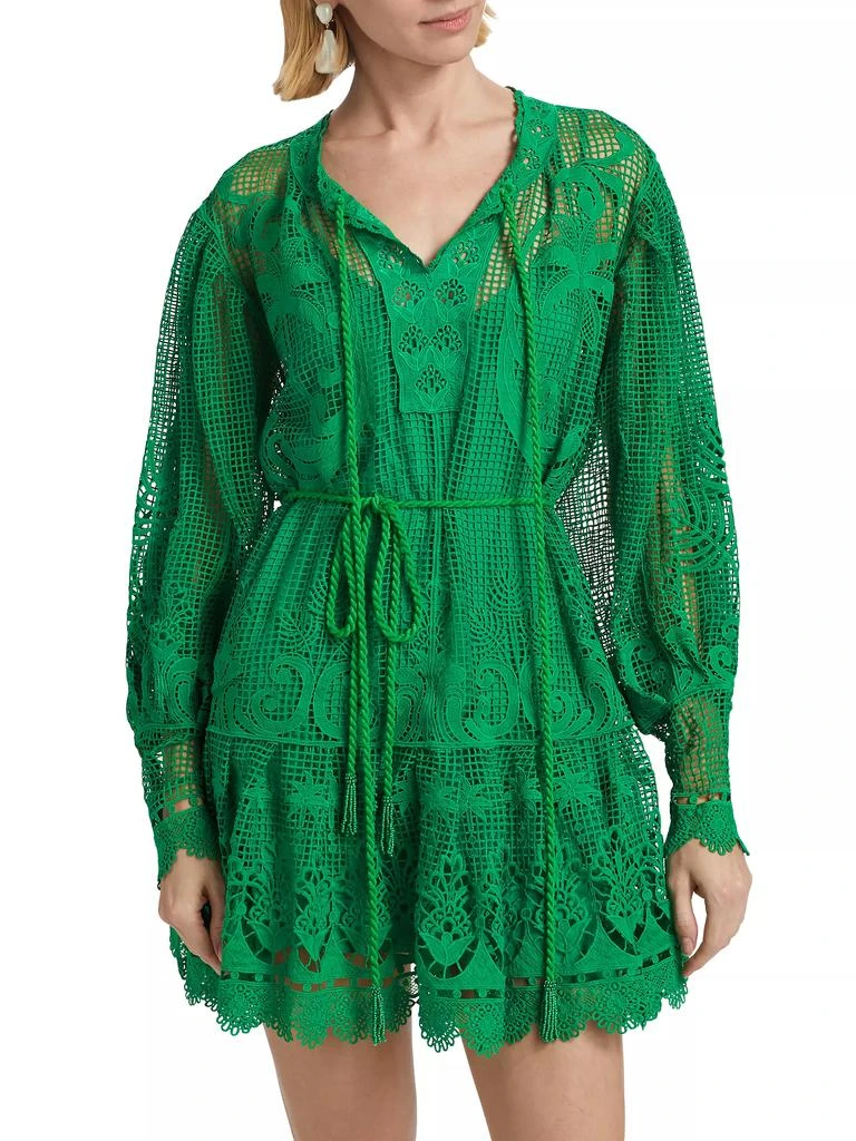 Farm Rio Tropical Flight Guipure Minidress 3
