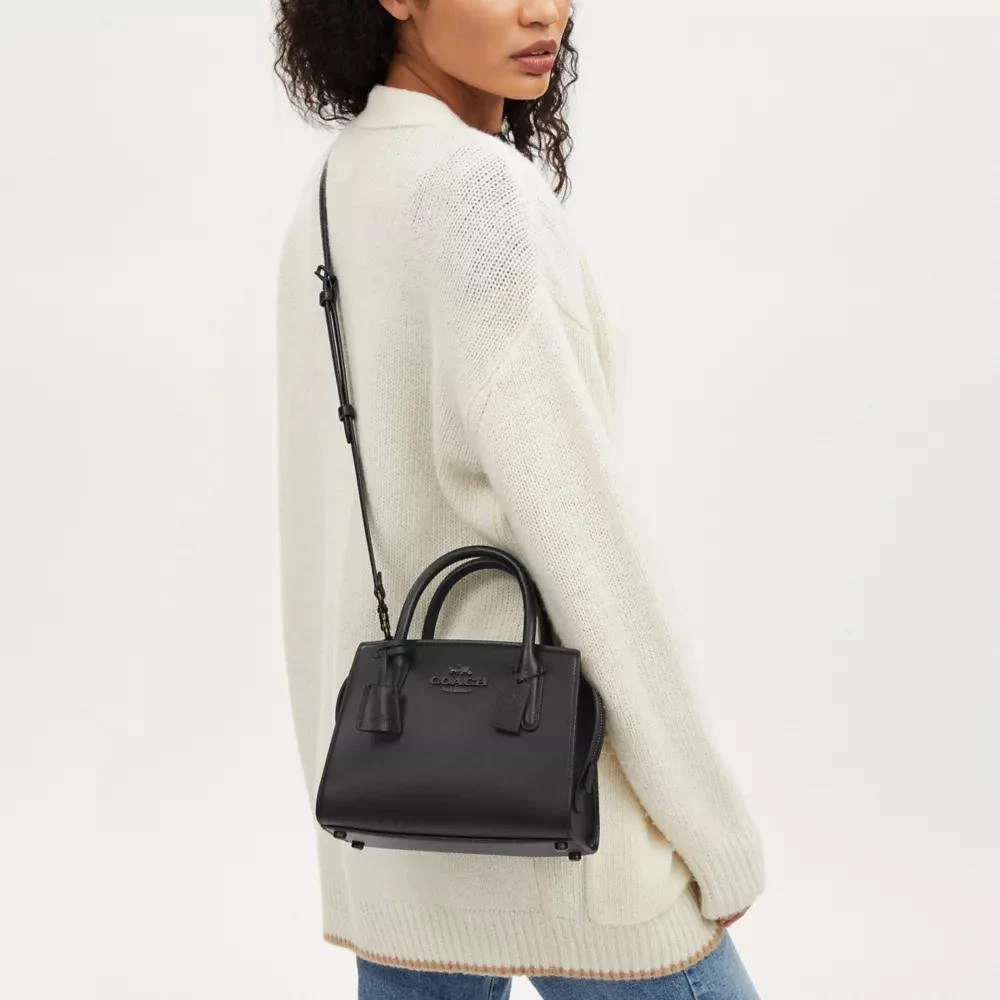 Coach Andrea Carryall Bag 2