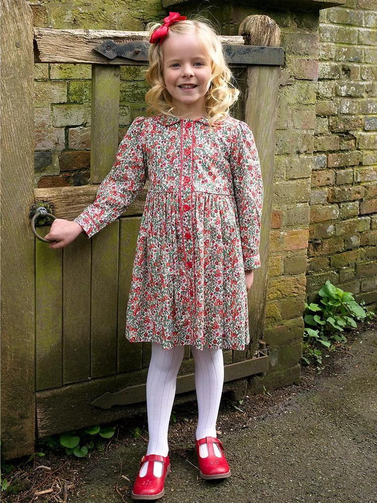 Rachel Riley Little Girl's & Girl's Botanical Floral Shirtdress 4