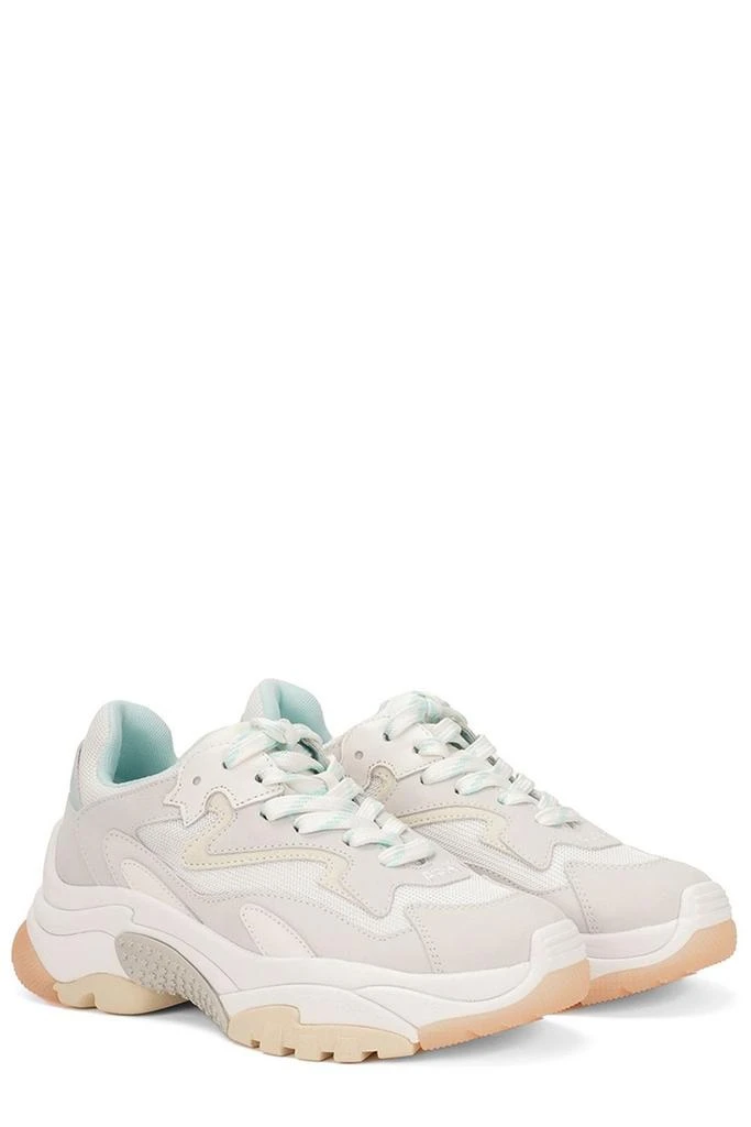 Ash Ash Addict Lace-Up Sneakers 4