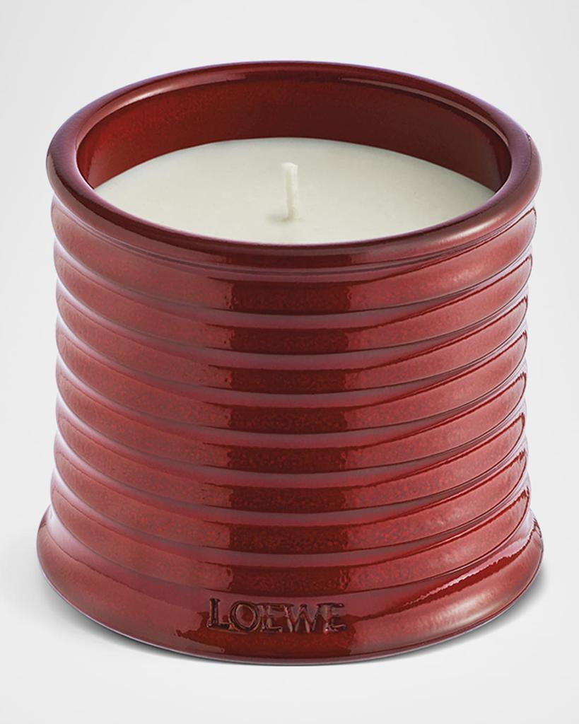 Loewe Cucumber Medium Scented Candle, 610g - Compare Prices from 6