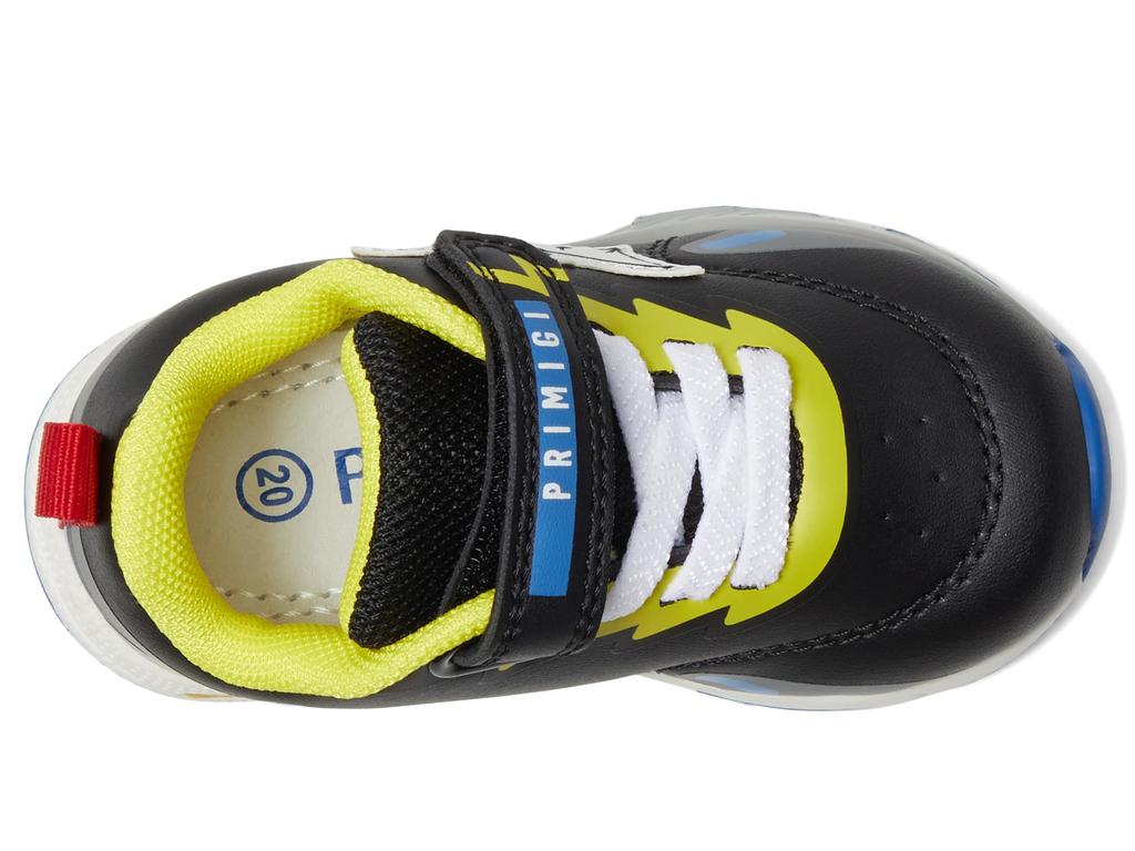 Primigi Kids PRH 69596 (Toddler/Little Kid)