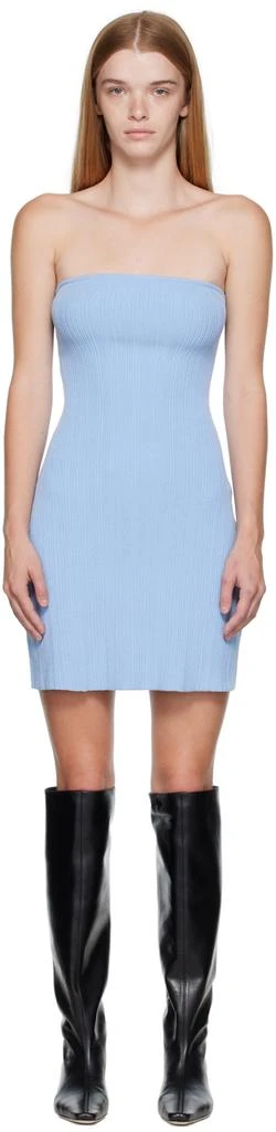 Anna Quan Blue Poppy Minidress 1