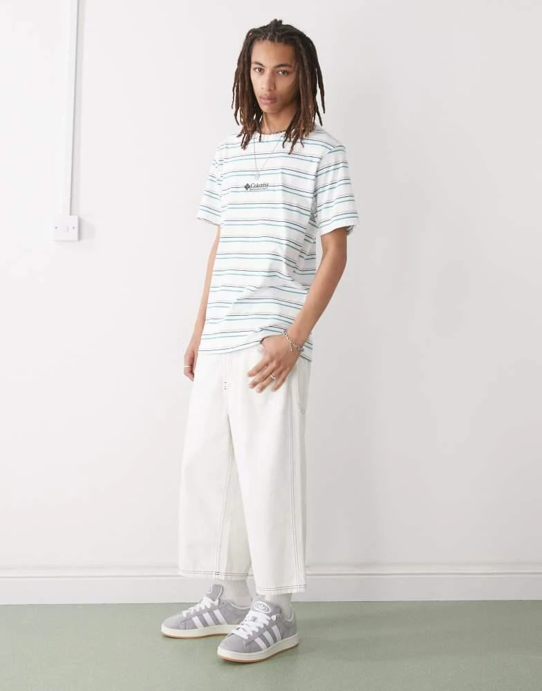 Columbia Columbia Somer Slope II striped  t-shirt in blue and white 2