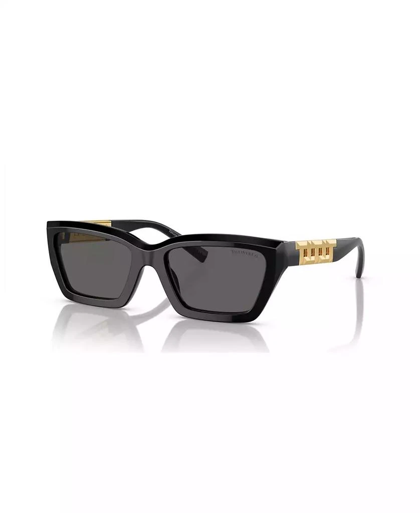 Tiffany & Co. Women's Sunglasses TF4213 1