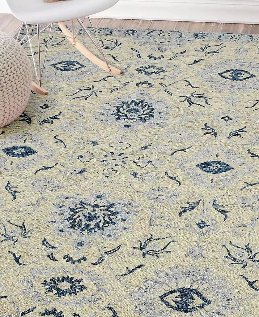 Amer Rugs Romania Newburg 5' x 8' Area Rug 4