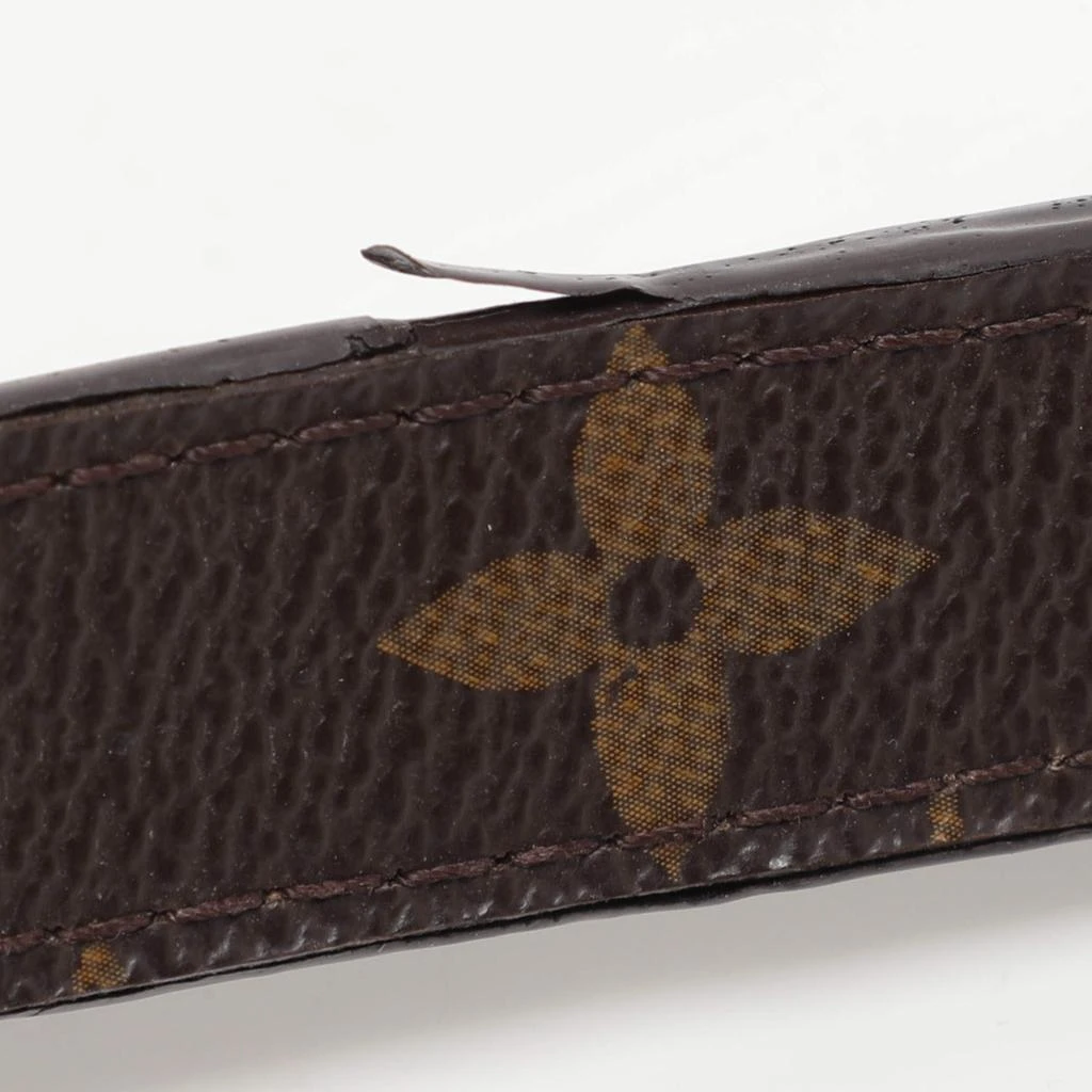 Louis Vuitton Louis Vuitton Bordeaux Monogram Canvas Eden MM Bag 6