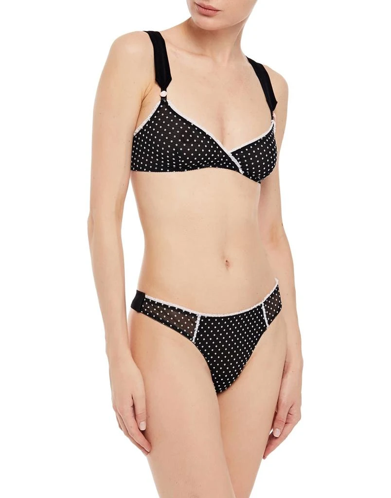 MORGAN LANE Brief 2