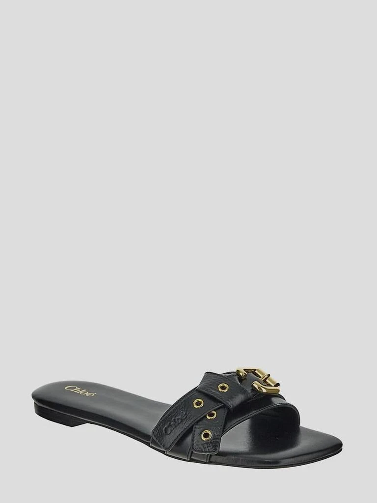 Chloé Chloé Flat Shoes 2