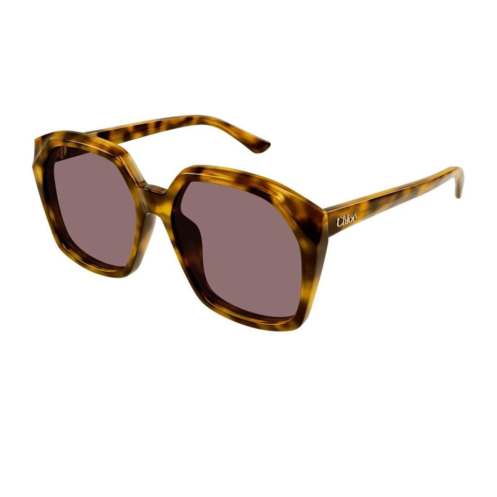 Chloé Chloé Eyewear Salome Oversized Frame Sunglasses 2