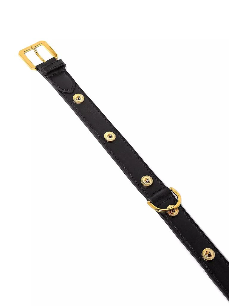 Versace Medusa Dog Collar 2