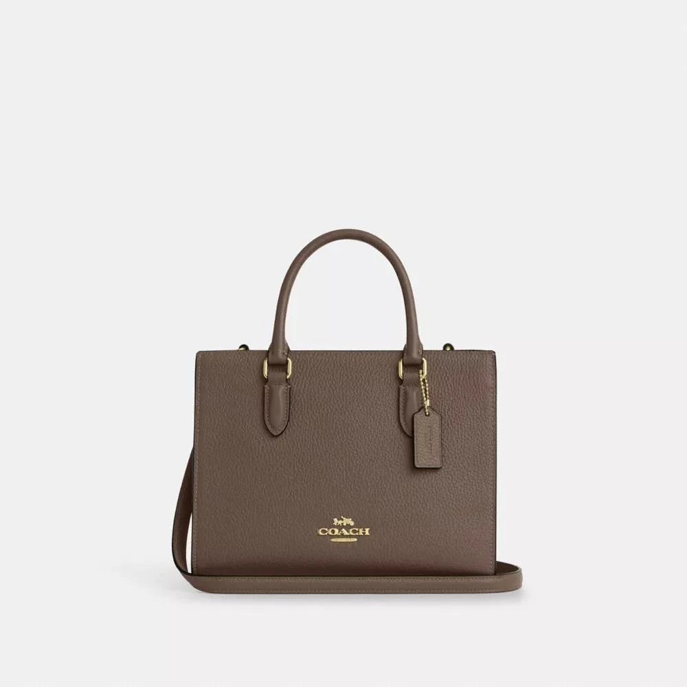 Coach Maggie Small Tote Bag 1
