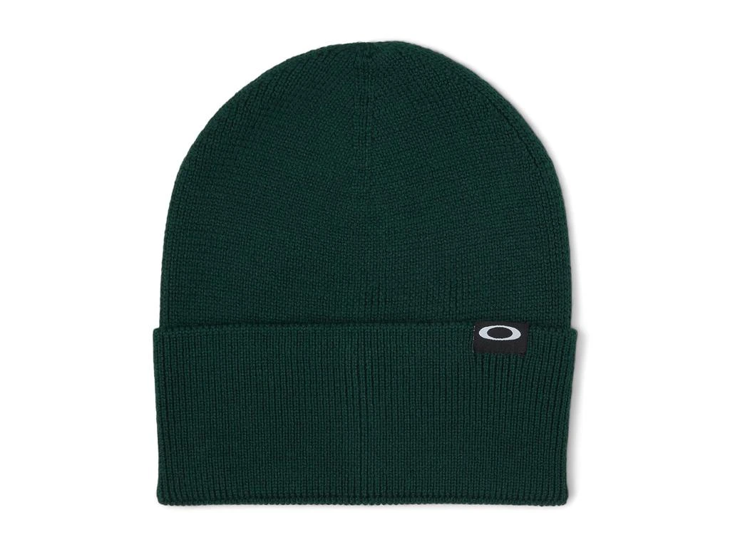 Oakley Cuffed Ellipse Recycled Beanie 1