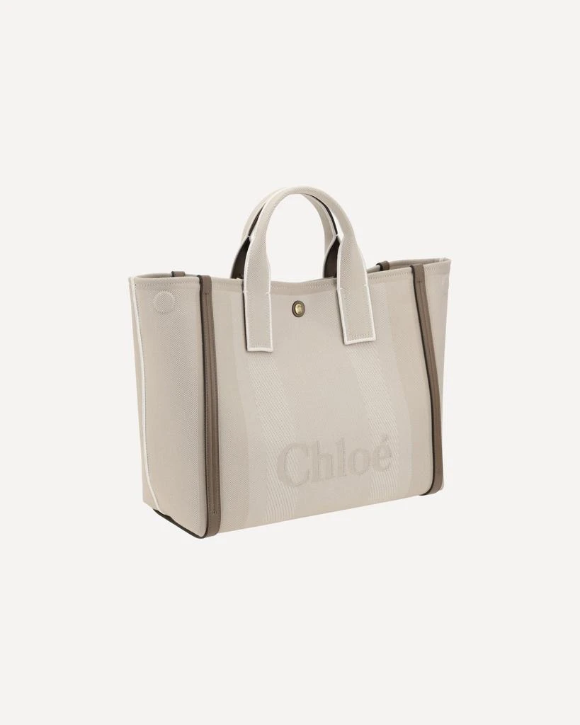 Chloé Carry Handbag 5