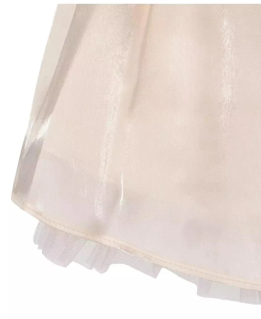 Rare Editions Baby Girls Shimmer Organza Social Dress 4