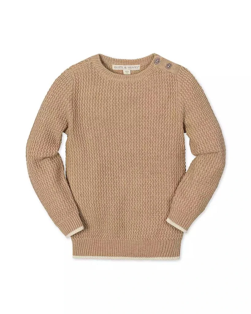 Hope 
Henry Baby Boys
 Organic Long Sleeve Crewneck Sweater with Buttons 2