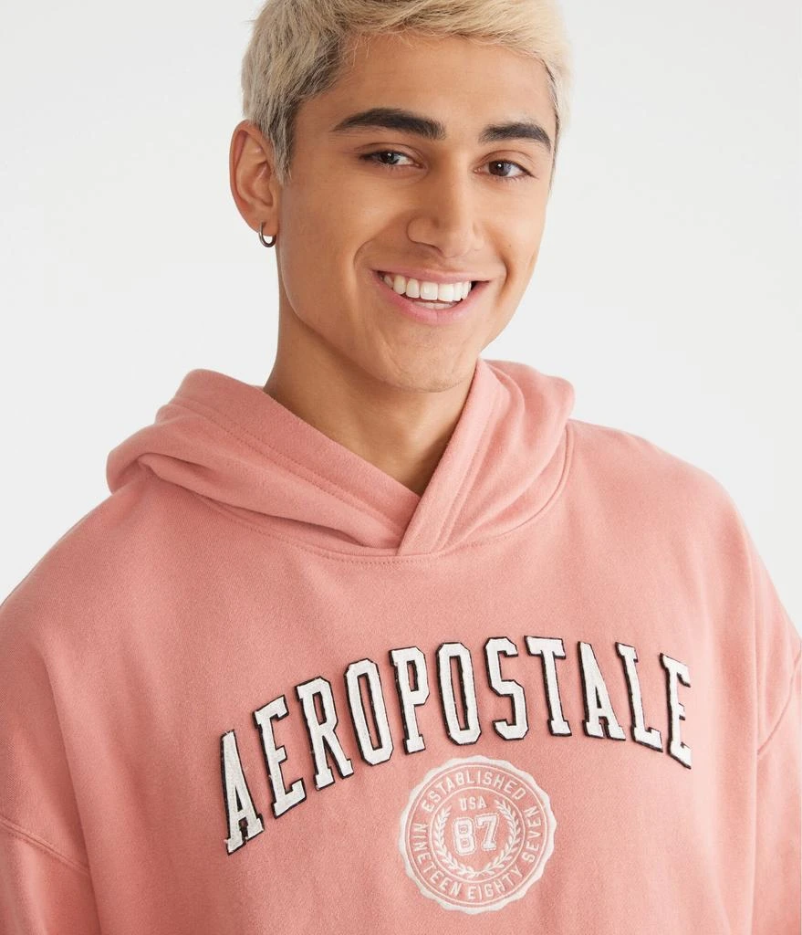 Aeropostale Crest Logo Pullover Hoodie 3