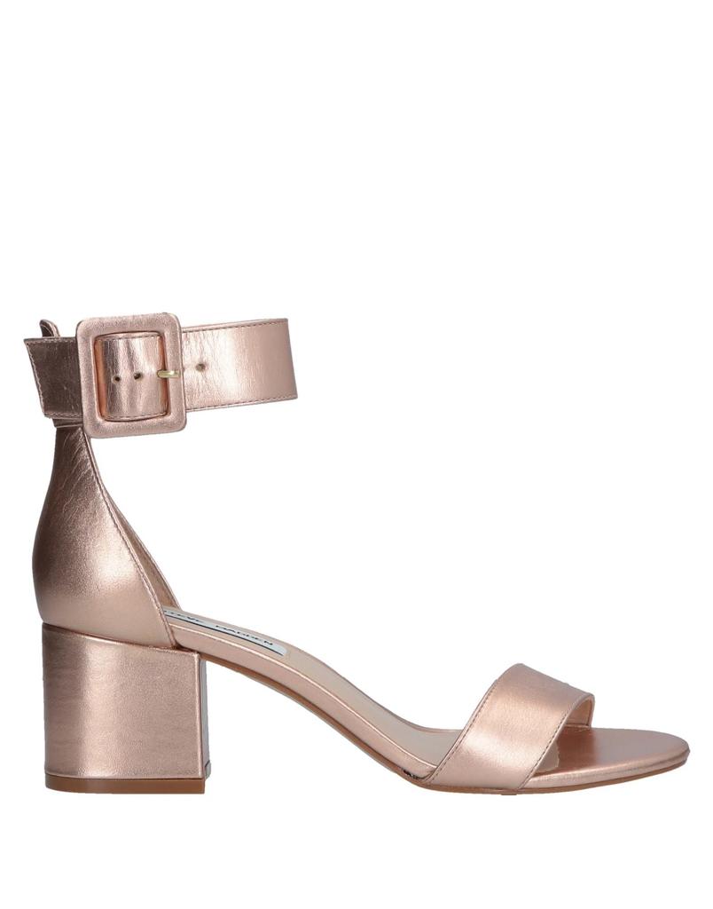 Steve Madden Steve Madden - Sandals - Copper - Woman