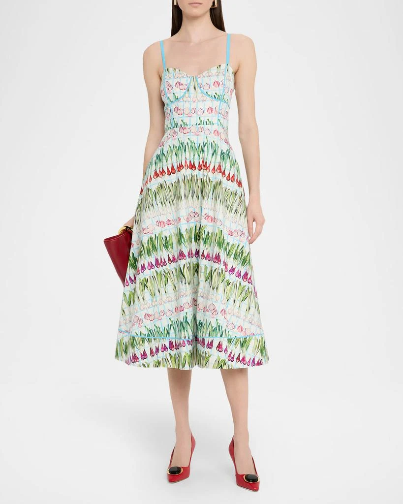 Rachel Antonoff Harper Radish A-Line Midi Dress 2