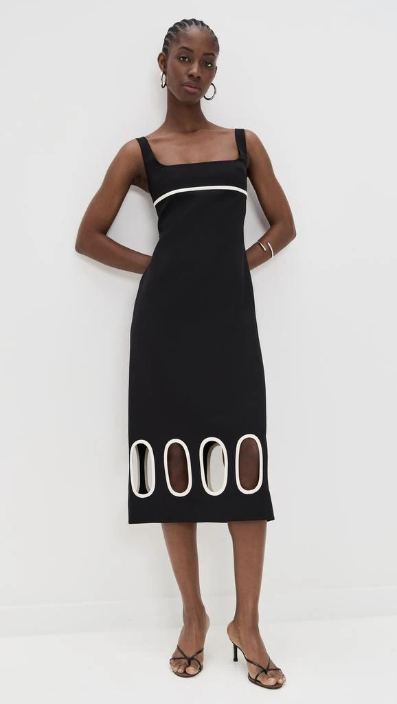 Alexis Ares Dress 1