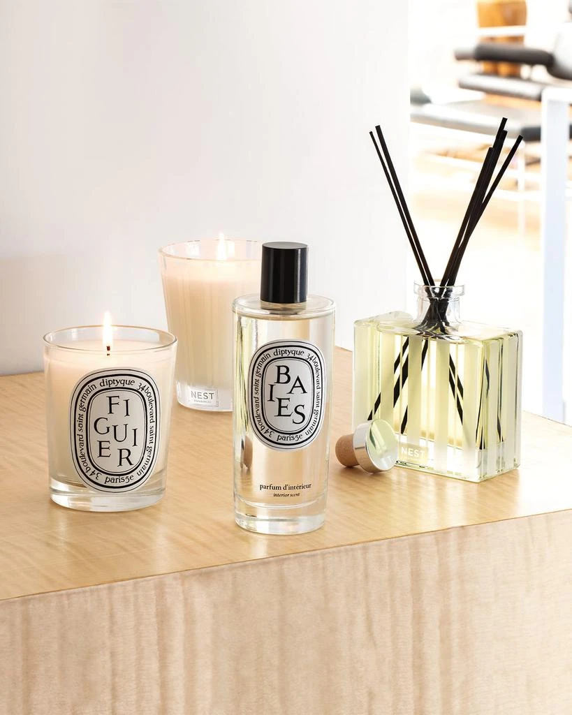 Diptyque Baies (Berries) Fragrance Room Spray, 5.1 oz. 2