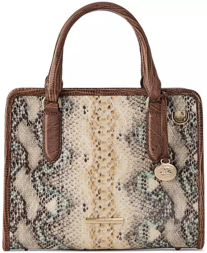 Brahmin Cami Eirwen Leather Satchel 1