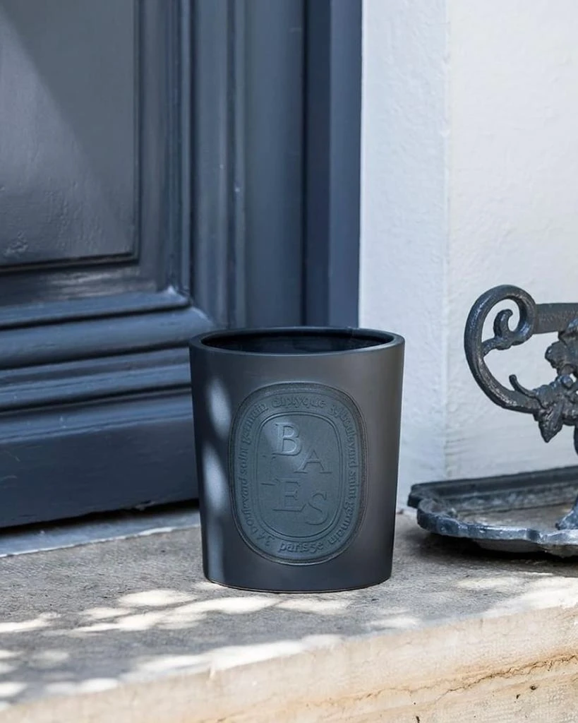 Diptyque Baies (Berries) Indoor & Outdoor Scented Candle, 51.3 oz. 3