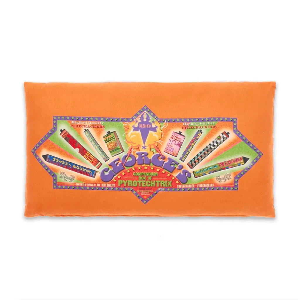 Harry Potter Harry Potter Compendium Rectangular Cushion