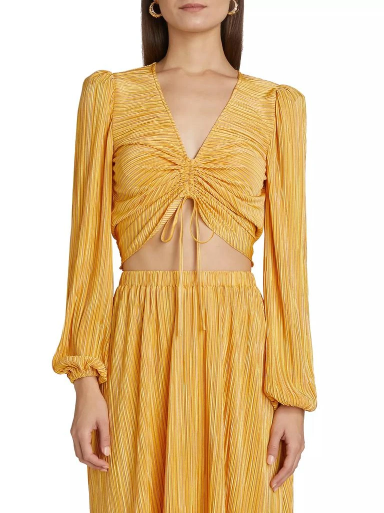 Ramy Brook Yolande Pleated Crop Top 3