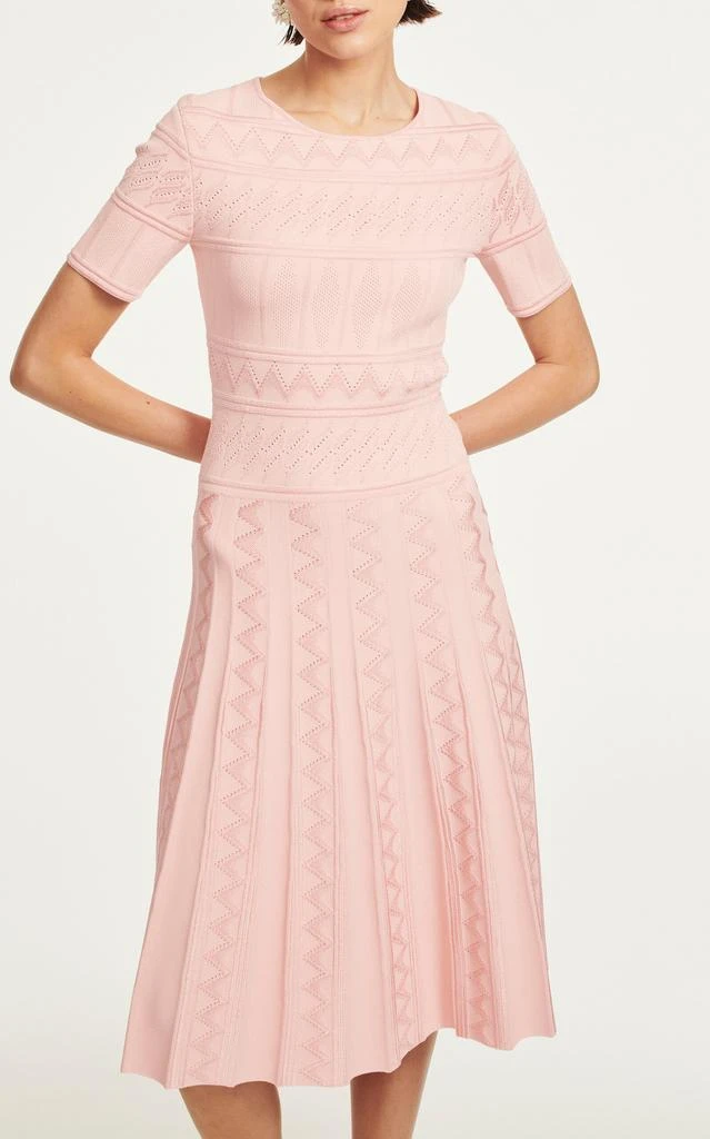 Carolina Herrera Carolina Herrera - Embroidered Midi Dress - Pink - XL - Moda Operandi 1