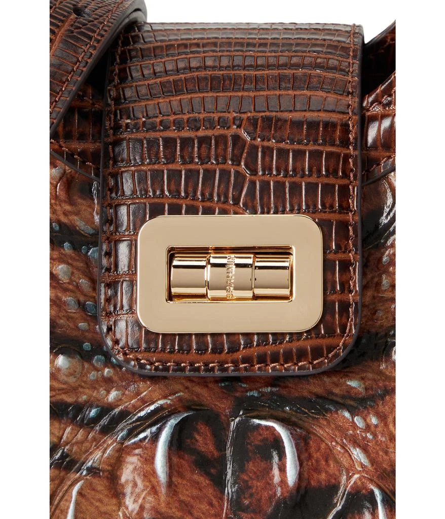 Brahmin Adrian Satchel 4