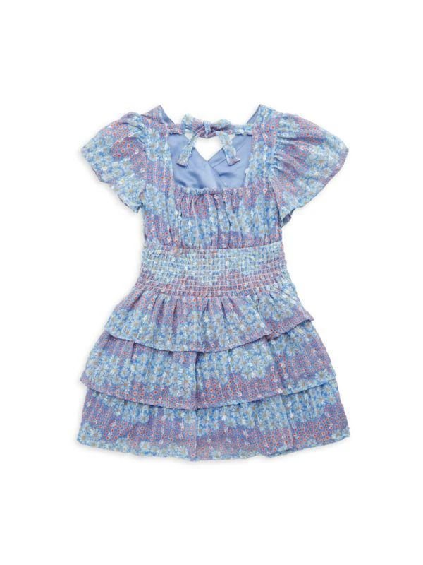 BCBG Little Girl's Floral Surplice Dress 2