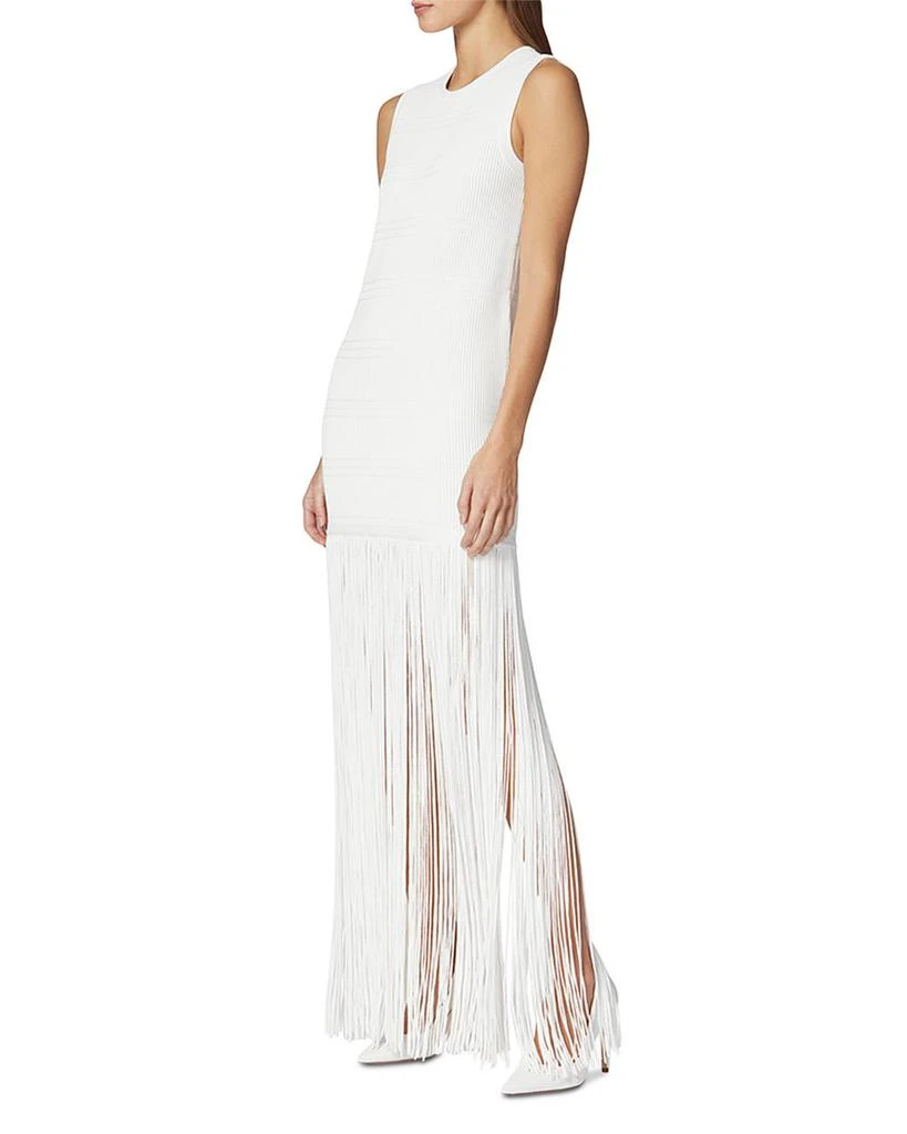 Herve Leger Ottoman Ribbed Shadow Stripe Fringe Gown 3