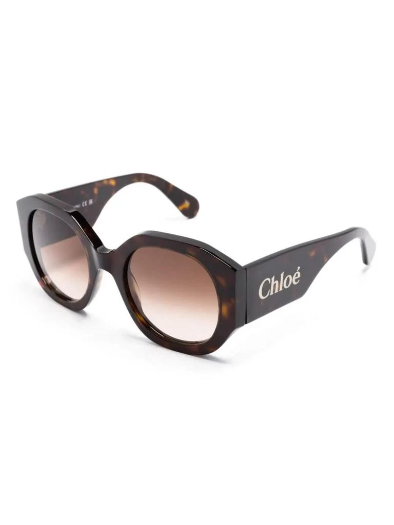 Chloé Naomy Sunglasses In Dark Havana/brown Sunglasses 2