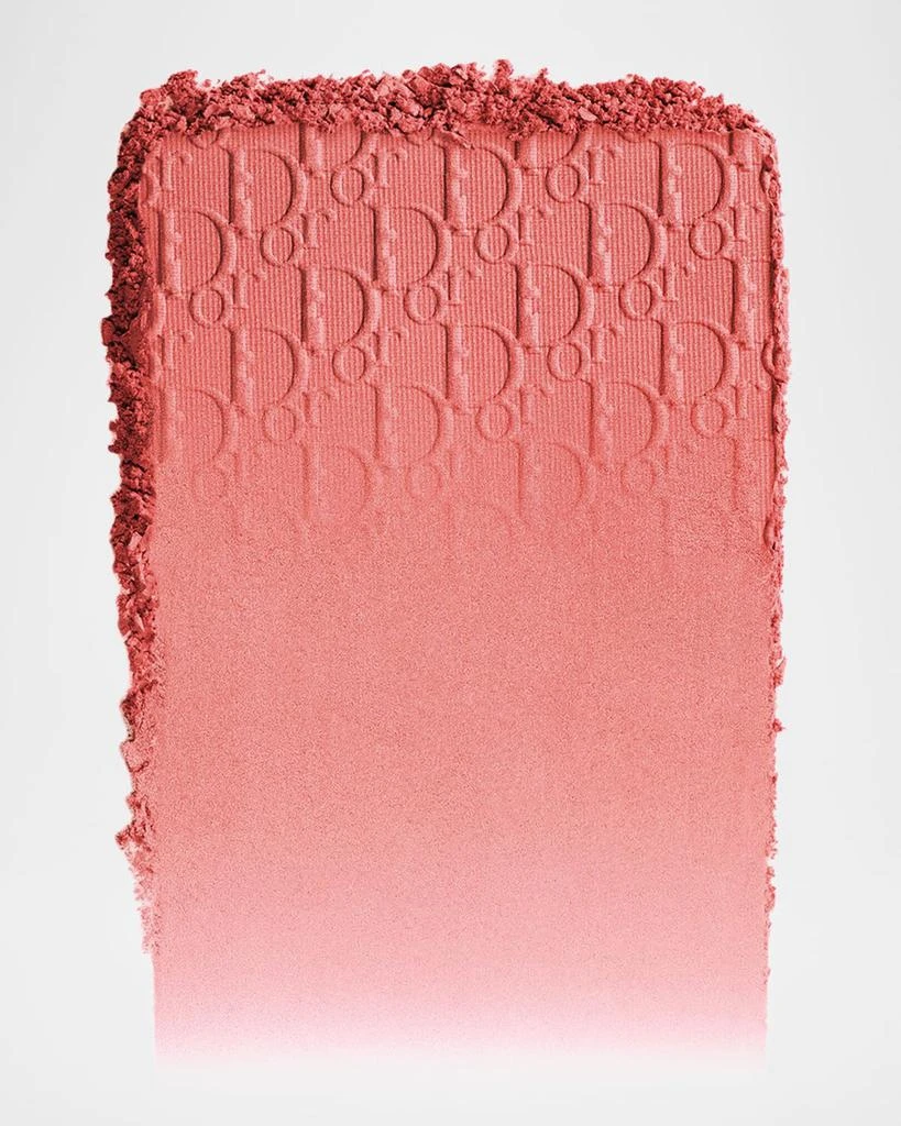 Dior Dior Backstage Rosy Glow Blush 2