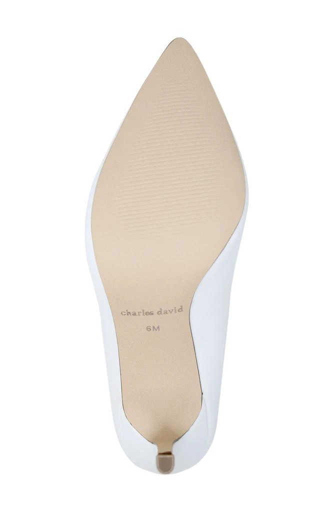 Charles David Vibe Pointed Toe Pump 5