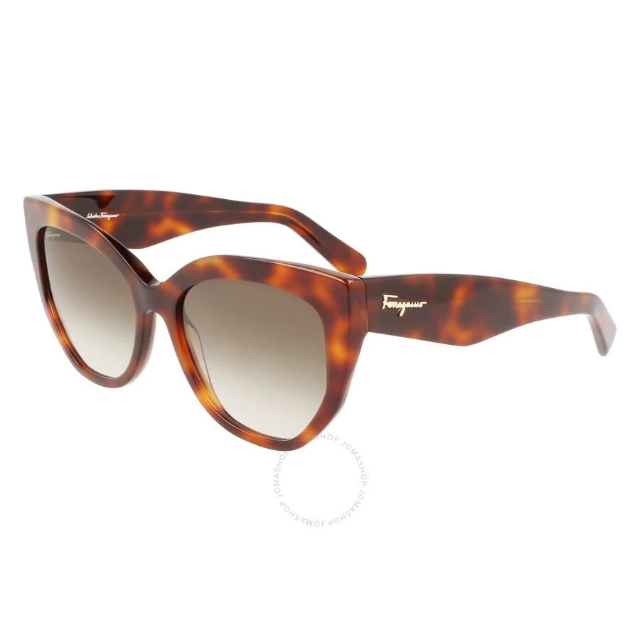 Salvatore Ferragamo Salvatore Ferragamo Brown Gradient Cat Eye Ladies Sunglasses SF1061S 240 56 1