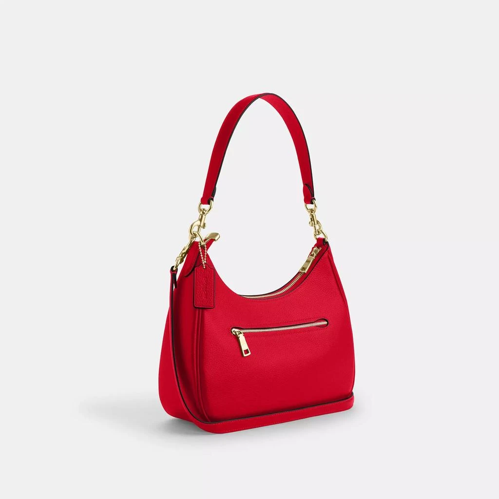 Coach Teri Hobo Bag 2