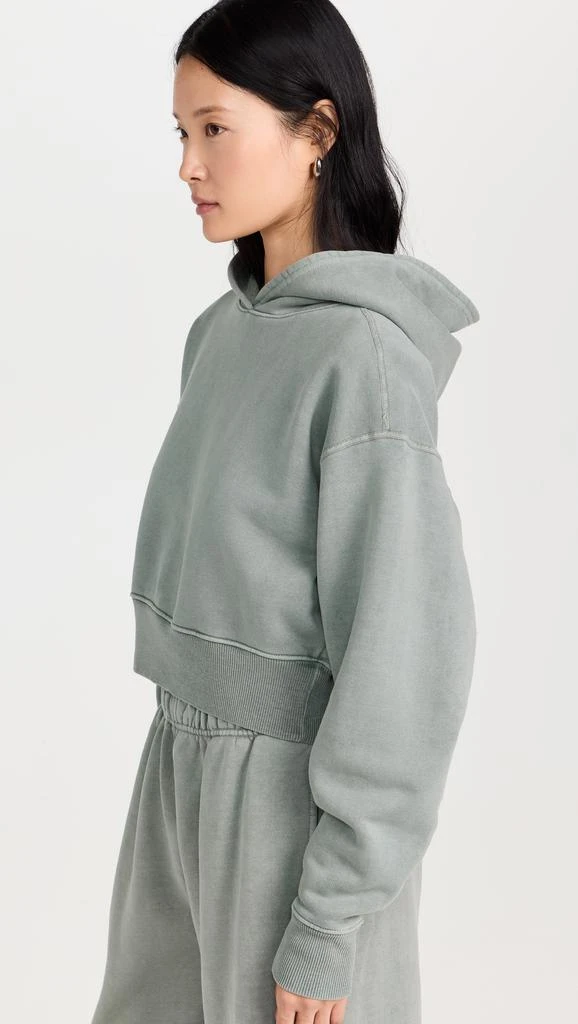 SLVRLAKE Crop Hoodie 3