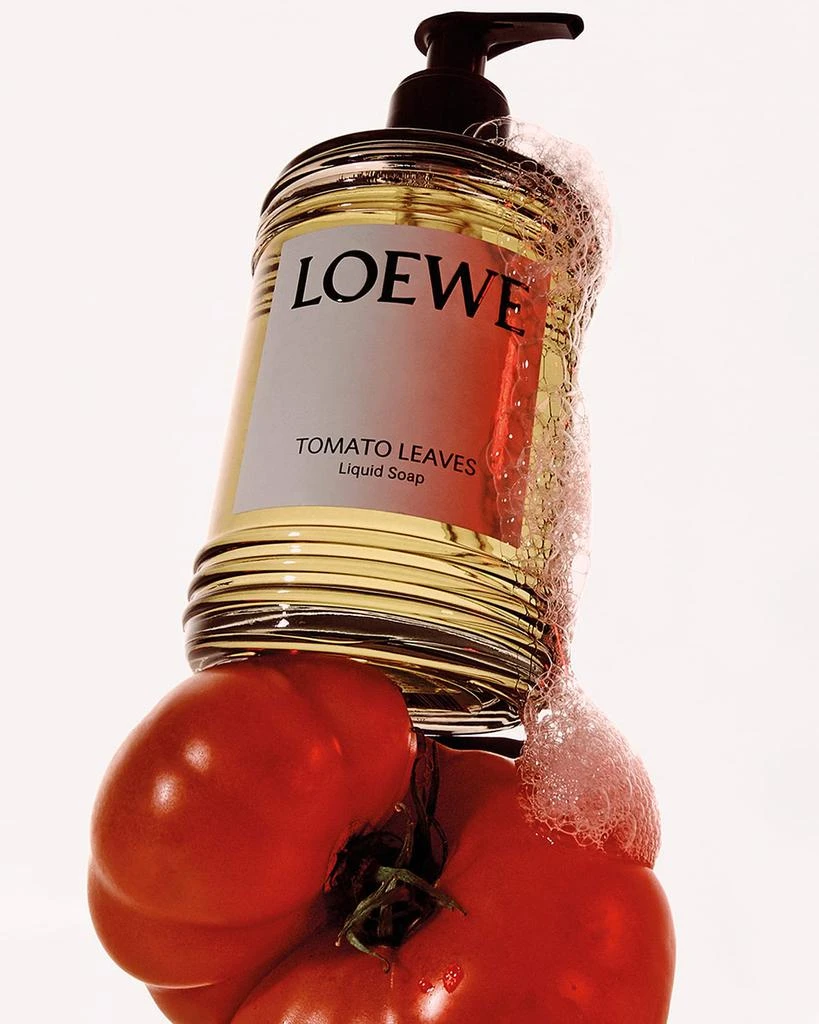 Loewe Tomato Leaves Liquid Soap, 12 oz. 4