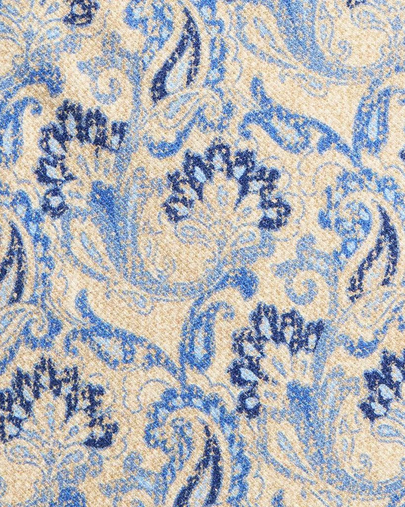 David Donahue Classic Paisley Tie 3