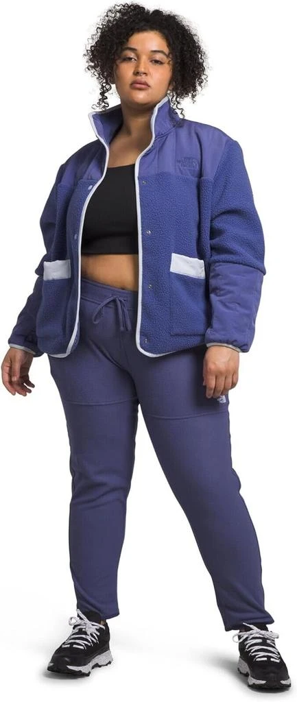 The North Face Women's Cave Blue Alpine Polartec 100 Joggers Pants SGN563 2