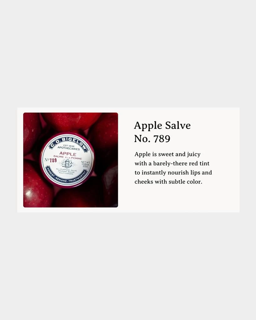 C.O. Bigelow Lip Salve Tin Trio Set 6