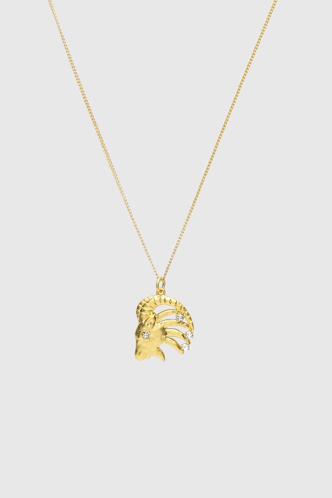 Rebecca Minkoff Capricorn Zodiac Medallion Necklace